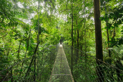 Puentes Colgantes
