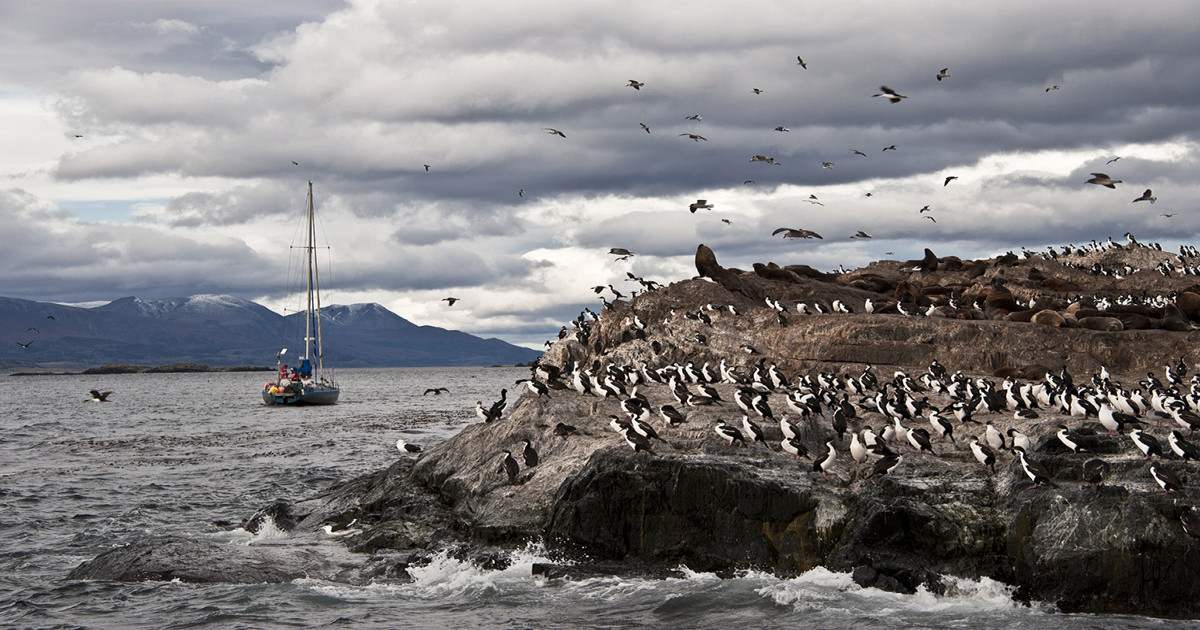 canal beagle, ushuaia, navegacion