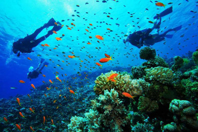Buceo en Isla Coiba