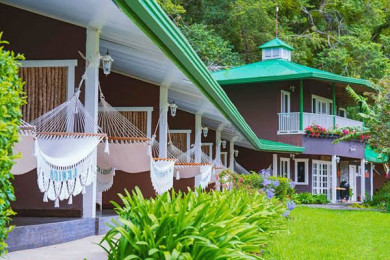Finca Lerida Coffee Plantation