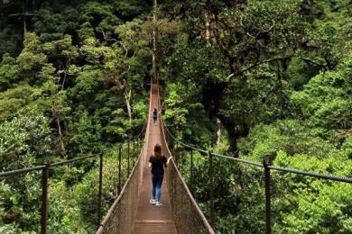 Puentes Colgantes de Boquete