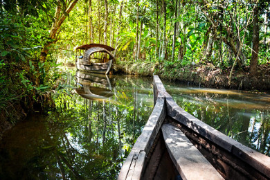 Tortuguero - Día 1