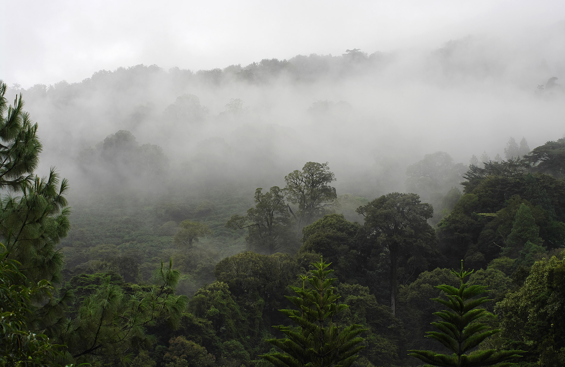 Aventura en Panamá