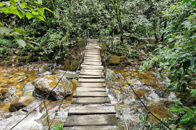Trekking Valle de Cocora
