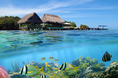 Bocas del Toro - Día 1