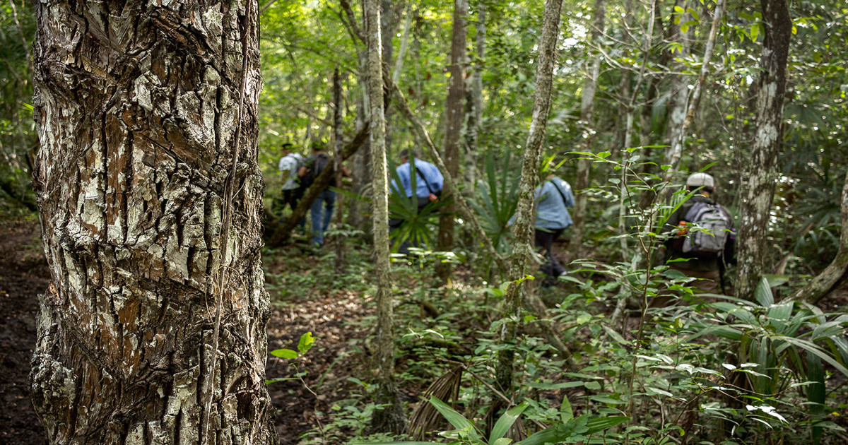 zotz, selva, peten, caminata