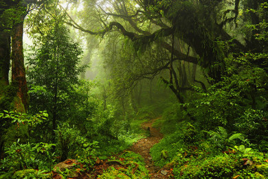 Monteverde - Día 1