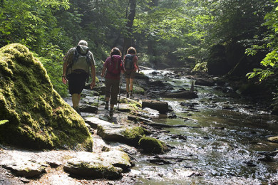 Caminata Ruinas El Mirador
