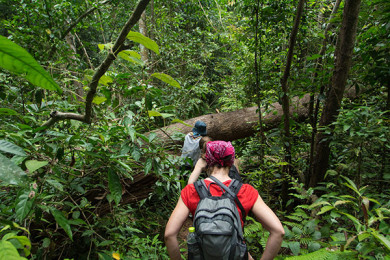 Corcovado - Día 2