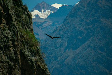 Cañón del Colca - Día 1