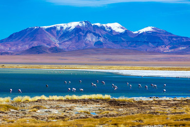 Lagunas Altiplánicas