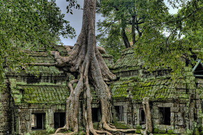 Siem Reap - Día 2