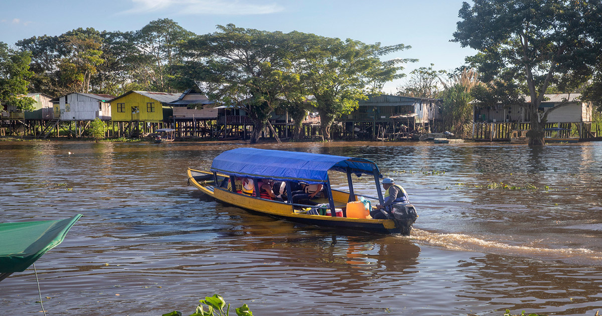 amazonas, leticia