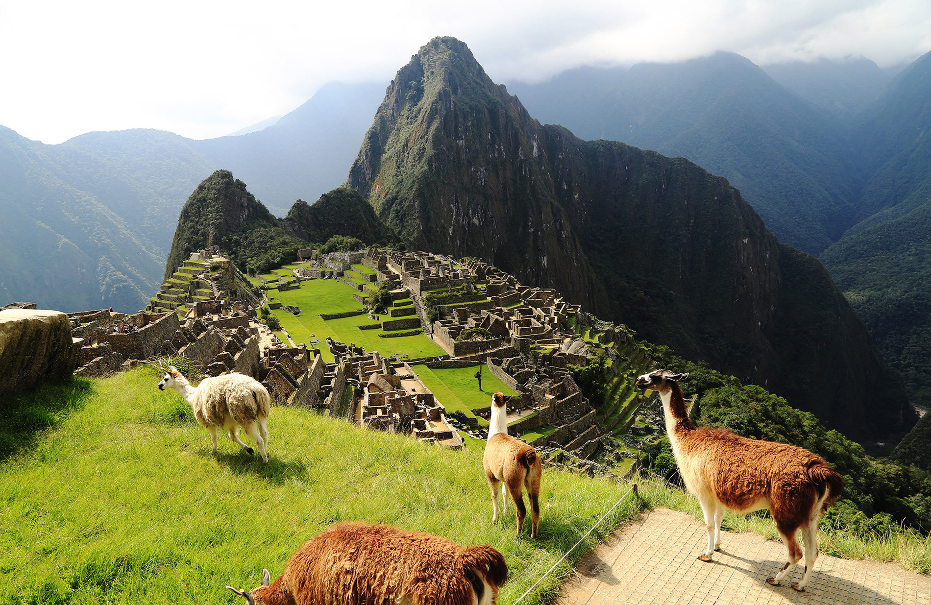Perú