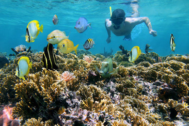 Snorkel en Isla del Caño