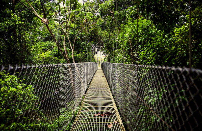 Aventura en Costa Rica